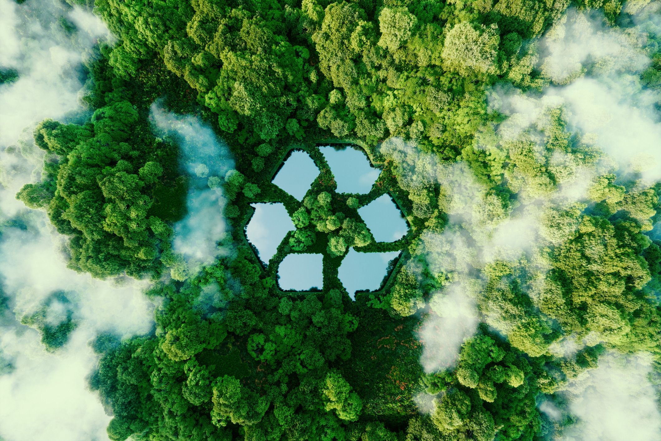 Floresta vista de cima, mais o símbolo de reciclagem