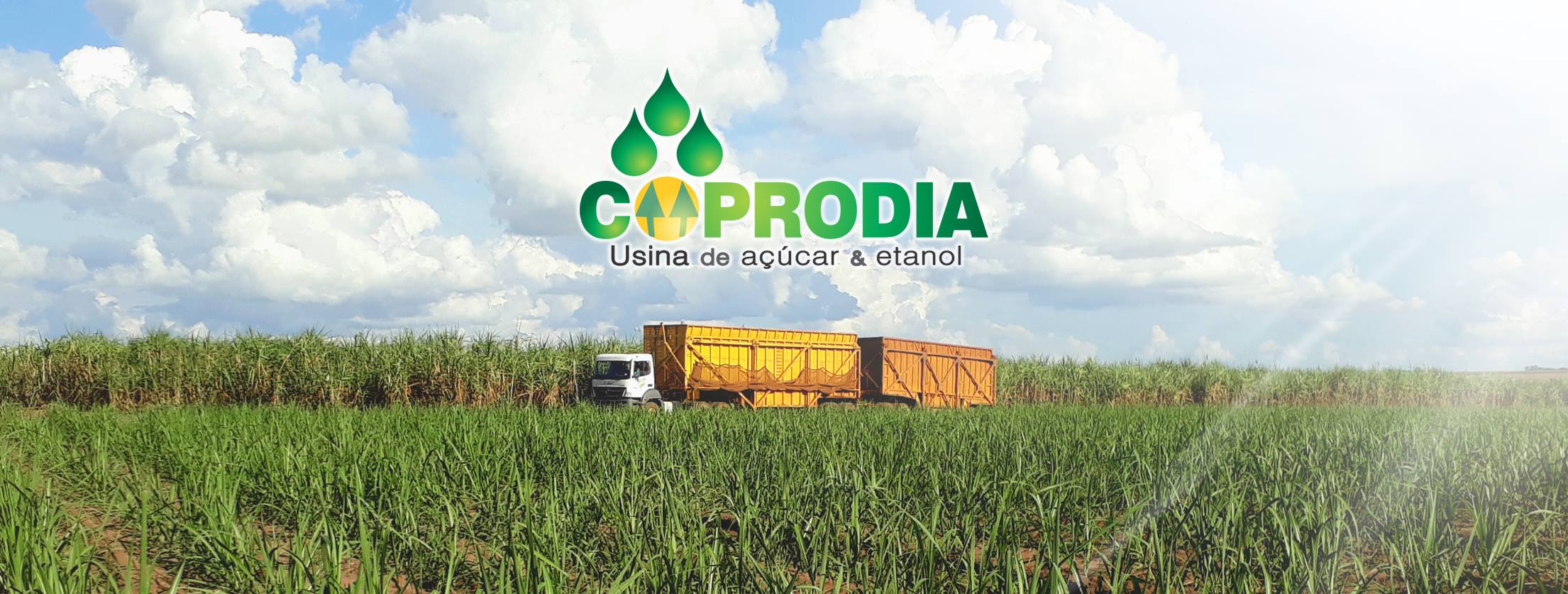 Coprodia: responsabilidade social e ambiental contribuem para os negócios
